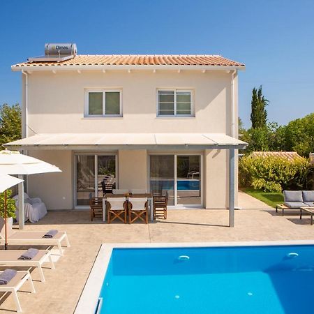 Grappolo Lefkada Villas - Vilana Ideal For Families And Small Groups Apolpaina Экстерьер фото